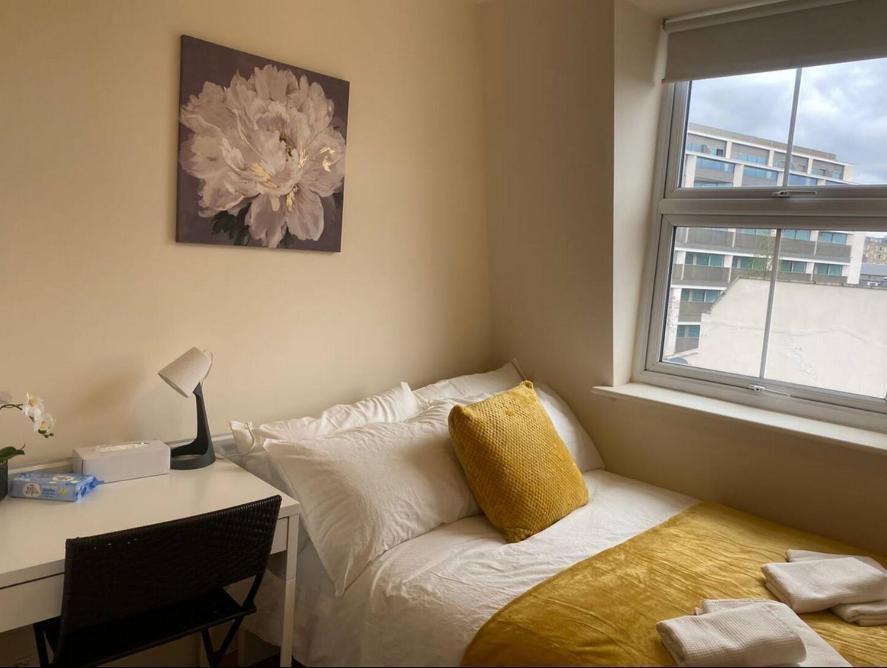 Cosy Private Rooms In Euston Square, Central Londra Dış mekan fotoğraf