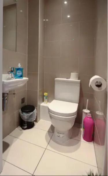 Cosy Private Rooms In Euston Square, Central Londra Dış mekan fotoğraf